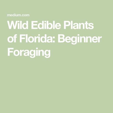 Wild Edible Plants of Florida: Beginner Foraging Florida Foraging, Foraged Food, Safety Precautions, Mulberry Tree, Wild Edibles, Edible Plants, Central Florida, Water Plants, Native Plants