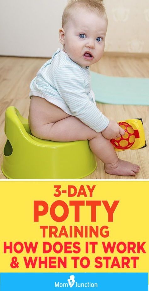 MomJunction tells you about the efficient three-day potty training routine. Here, we will guide you through the training process and clear any doubts you may have about it. #toddlers #pottytraining  #adviceformoms #motherhood #babies Three Day Potty Training, Best Potty, Potty Training Girls, Toddler Potty, Potty Training Boys, Starting Potty Training, Toddler Potty Training, Potty Training Tips, Baby Puree