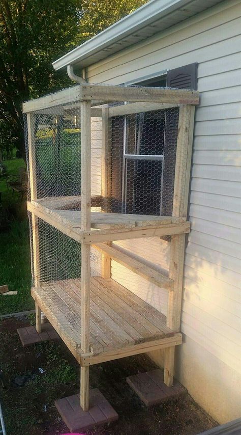 Small Catio Ideas Cat, Window Catio, Diy Window Catio Ideas For Cats, Diy Small Window Catio, Side Yard Cat Enclosure, Catio Plans From Window, Outdoor Stray Cat Shelter, Outside Cat Enclosure, Outdoor Cat Shelter