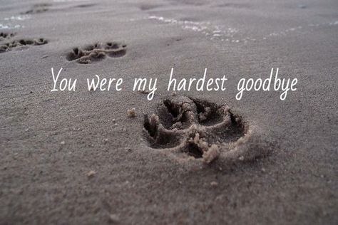 You Were My Hardest Goodbye, Quotes About Loosing Your Dog, Losing A Pet Quotes, Dog Heaven Quotes, Hardest Goodbye, Miss My Dog, Dog Poems, Dog Quotes Love, Dog Died