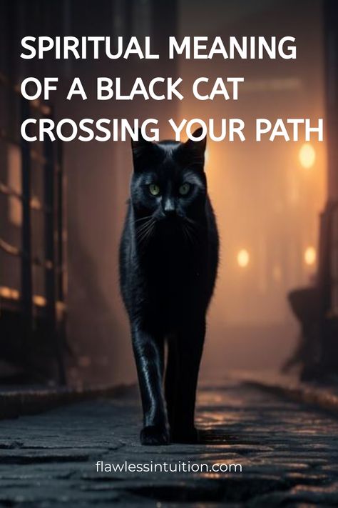 I’ve always been fascinated by the signs the universe sends us—like the time a sleek black cat crossed my path right before I received some life-changing news. Black Cat Crossing Your Path, Black And White Cat Spiritual Meaning, Black Cat Symbolism, Black Cat Meaning, Cat Symbolism, Spirit Animal Meaning, Night Meaning, Animal Meanings, Black Squirrel