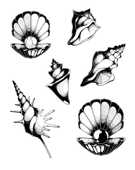 Sea Flash Tattoo, Seashell Tattoo Ideas, Summer Flash Tattoo, Round Tattoo Ideas, Ocean Creatures Drawings, Flash Tattoo Blackwork, Sea Creatures Tattoo, Seashells Illustration, Conch Tattoo