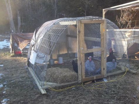 Show Me Your Turkey Runs/coops/enclosures! Diy Turkey Coop Ideas, Turkey Shelter, Turkey Coop Ideas, Turkey Coop, Turkey House, Quick Turkey, Turkey Home, Chickens For Sale, Turkey Farm