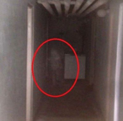 ghost picture Ghosts Real, Real Ghost Photos, Ghost Caught On Camera, Usa Government, Paranormal Pictures, Ghost Photo, Paranormal Photos, Ghost Sightings, Real Ghost