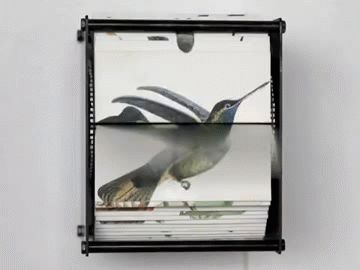 Spectacular Motorized Flipbooks of Hand-Drawn Birds - My Modern Metropolis Flip Book Animation, Modern Metropolis, Kinetic Art, Flip Book, Stop Motion, Motion Design, Art Videos, Installation Art, Interesting Art