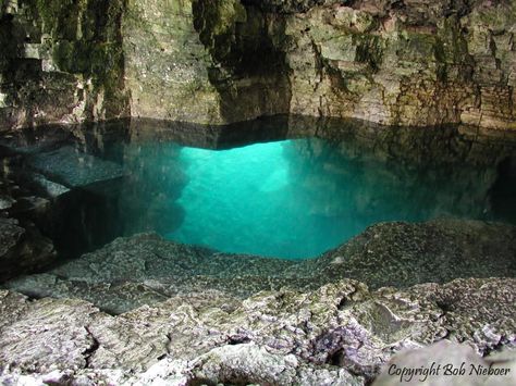 I want my own secret underwater cave.  You can see the entrance here.  Beautiful. Grotto Pool, Bruce Peninsula National Park, Cave Pool, Moon Pool, Bruce Peninsula, Manitoulin Island, Cave Entrance, Underwater Caves, Gardens Of Babylon