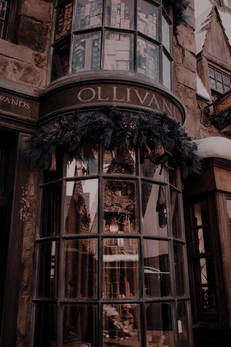 متحف فني, Dark Acadamia, E T, Aesthetic Dark Academia, Library Aesthetic, Images Harry Potter, Hogwarts Aesthetic, Diagon Alley, Slytherin Aesthetic