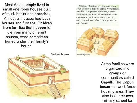 aztec houses Inca Architecture, Mesoamerican Architecture, Aztec Architecture, One Room Houses, Aztec City, Aztec House, Native Mexican, Castle Floor Plan, Ancient Aztecs