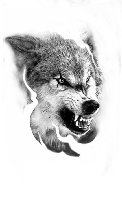 Growling Wolf Tattoo Design, Aggressive Wolf Tattoo, Wolf Face Tattoo Design, Fenrir Drawing, Angry Wolf Tattoo Design, Viking Wolf Tattoo Design, Wolf Tattoo Sketch, Angry Wolf Tattoo, Kurt Tattoo