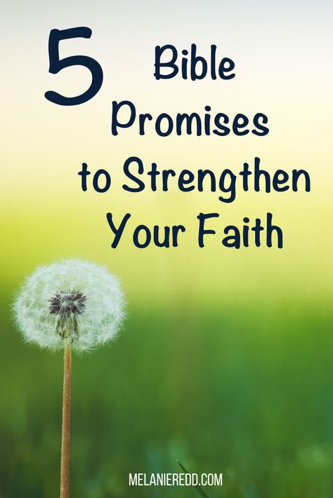 Positive Scripture, Having Faith In God, Having Faith, Beautiful Sayings, Powerful Scriptures, Bible Study Plans, Bible Study Methods, Faith Encouragement, Faith Scripture