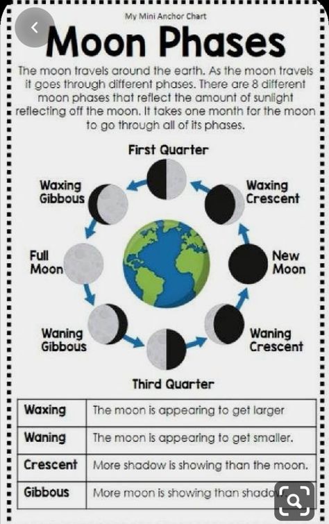 Moon Phases Anchor Chart, Moon Science, Science Posters, 1st Grade Science, Science Space, 4th Grade Science, 6th Grade Science, 5th Grade Science, Earth And Space Science