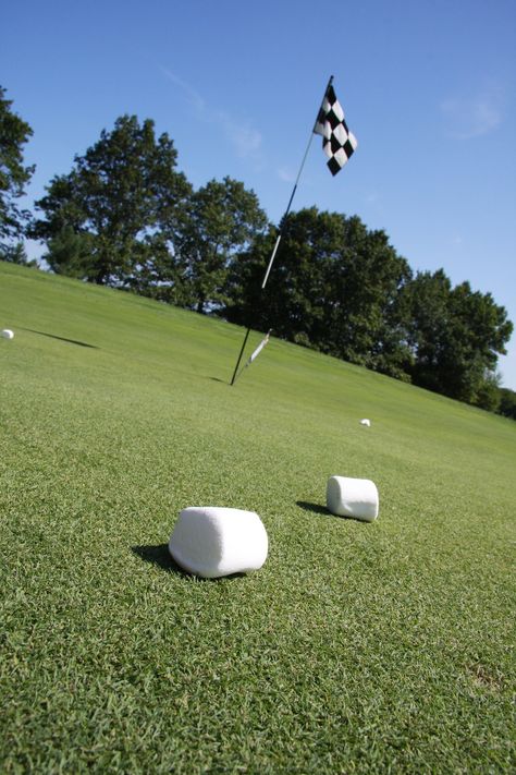 Longest drive with a marshmallow game! Whoever drives the marshmallow the furthest wins the prize! Cheap and simple game! Marshmallow Game, Golf Tournament Games, Golf Tournament Ideas, Golf Fundraiser, Golf Cart Covers, Golf Events, Tournament Games, Titleist Golf, Golf Event