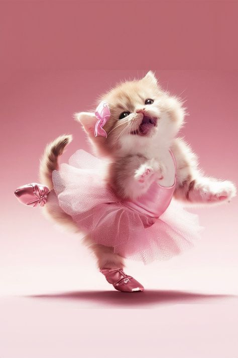 Sweet ballerina kitten Ballerina Cat, Angelina Ballerina, Ballerinas, Cute Cats, Kittens, Wallpapers, Quick Saves