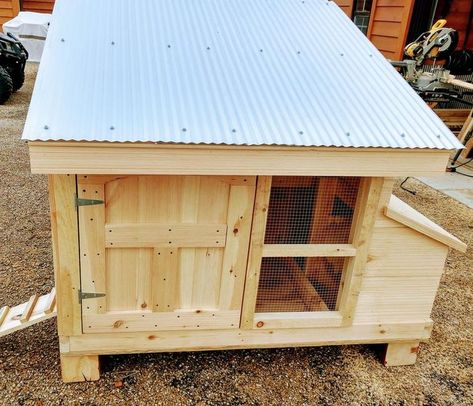 Building Chicken Coop, Inexpensive Patio, Walk In Chicken Run, Backyard Coop, Small Chicken Coops, Easy Chicken Coop, Clean Chicken, Diy Chicken Coop Plans, Chicken Tractor