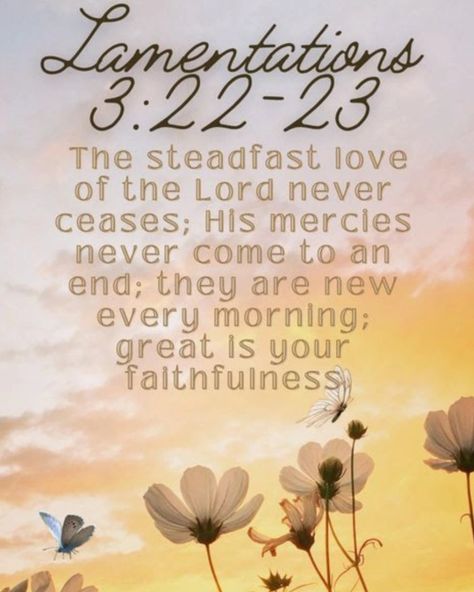 Lamentations 3:22-23  The steadfast love of the Lord never ceases; His mercies never come to an end; they are new every morning; great is your faithfulness Lamentations 3:22-23 Wallpaper, Lamentations 3:22-23, Steadfast Love Of The Lord, Christian Pics, Lamentations 3 22 23, Great Is Your Faithfulness, New Every Morning, Church Bulletin, Believe Quotes