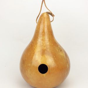 Thunder Gourds, How To Dry Gourds, Cat Gourd, Gourds Diy, Dried Gourds, Gourd Birdhouses, Metal Coat Hangers, Gourd Ideas, Gourds Birdhouse