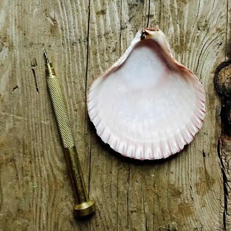 How to drill a hole in a seashell without breaking it. Cleaning Sea Shells, Beachy Crafts, Money Making Projects, Dremel Drill, Coquille St Jacques, Hardware Stores, Seashell Wreath, Michaels Craft, Shell Crafts Diy