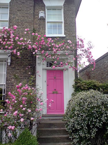 Explore Igor Clark's photos on Flickr. Igor Clark has uploaded 10591 photos to Flickr. Flowers At Front Door, Roses Around Front Door, Pink Outdoor Decor, Front Door Flowers, Pink Gate, Interesting Door, Pink Doors, Pink Front Door, Black Shutters