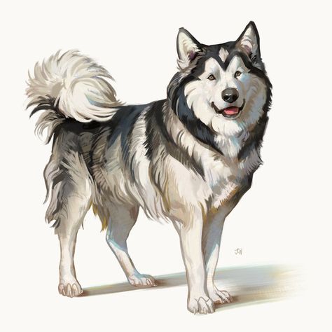 Husky Drawing, Dog Design Art, Canine Drawing, Dog Animation, Psy Art, Canine Art, Alaskan Malamute, Animal Sketches, Dog Drawing