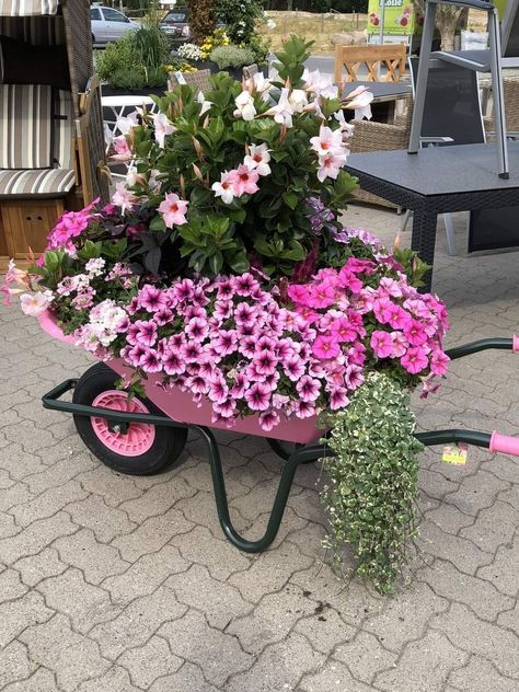 Wheelbarrow Planter Ideas, Wheelbarrow Planter, Wheelbarrow Garden, Lights Patio, Unique Garden Art, Unique Garden Decor, Front Yard Landscaping Diy, Cheap Patio, Front Yard Garden Design