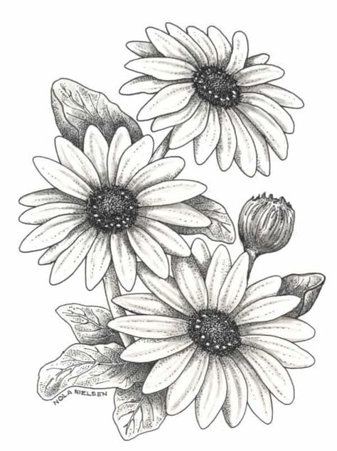 How To Draw a Flower? - 45 Easy Flower Drawings For Beginners Daisy Flower Drawing, Simple Flower Drawing, Easy Flower Drawings, Pencil Drawings Of Flowers, Tree Drawings Pencil, Beautiful Flower Drawings, Flower Art Drawing, Flower Sketches, Floral Drawing