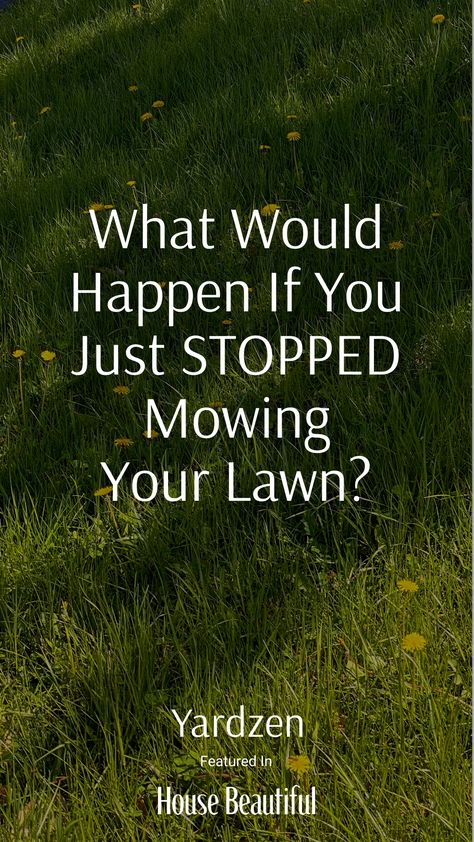 No Mow Lawn Landscape Design, Online Landscape Design, Lawn And Landscape, Large Yard, Organic Style, Yard Design, Just Stop, Lawn Mower, Natural Organic