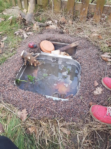 Mini pond and toad abode England. Method in album. Toad Abode, Bug Hotels, Mini Pond, Bath Garden, Habitat Garden, Bug Hotel, Growing Greens, Bird Bath Garden, Water Gardens