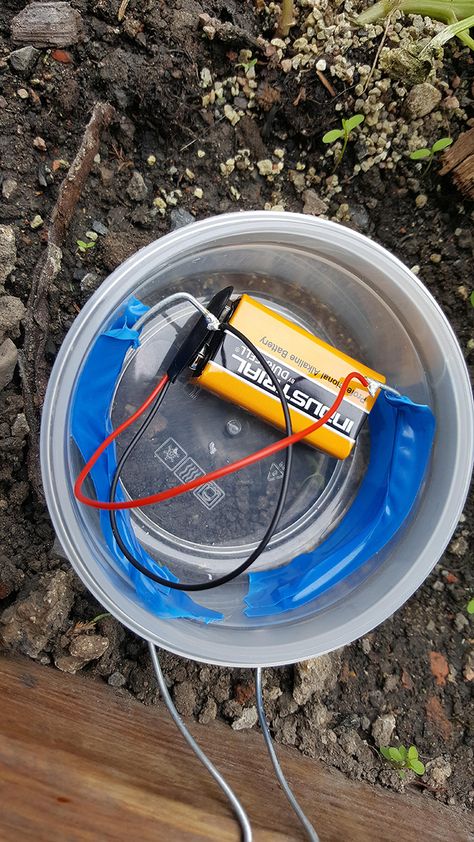 Underground Storm Shelters, Snail Farming, Minnesota Landscaping, Minnesota Home, Garden Equipment, Electric Fence, Garden Fencing, Slug, Raised Garden Beds