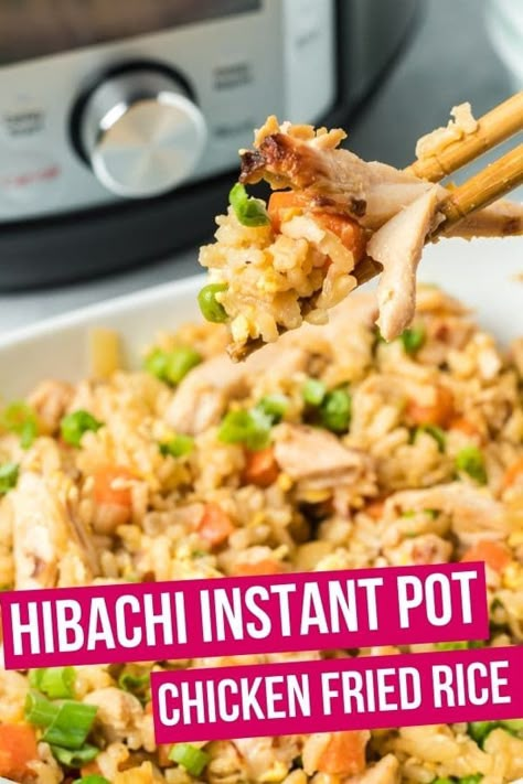 Hibachi Instant Pot, Soup Instapot, Chicken Tacos Instant Pot, Instant Pot Fried Rice, Hibachi Recipes, Chicken Fried Rice Easy, Chicken Fried Rice Recipe, Cooked Chicken Recipes, Leftover Chicken Recipes