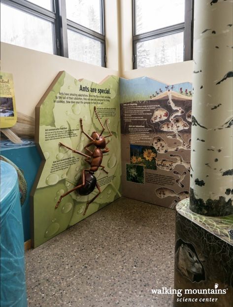 Insect Exhibition, Zoo Exhibit Design, Nature Exhibition, Childrens Museum Exhibits, Zoo Signage, Small Museum, School Exhibition, Science Infographics, Dinosaur Exhibition