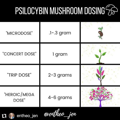 Pychedelic Club of Durango on Instagram: “Choose your own adventure🍄✨ . Pretty amazing the range of healing experiences Psilocybin can offer depending on dose, intention and…” Mushroom Closet, Psilocybin Benefits, Shroom Trip Activities, Micro Dosing Mushroom, Mushroom Psylocibin, Micro Dosing, Mushroom Knowledge, Shroom Trip Intentions, Psilocybin Mushrooms