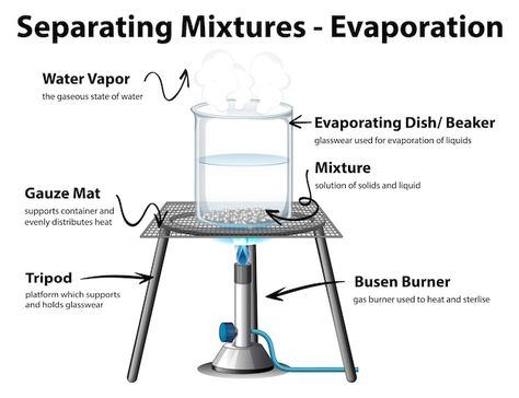 Free vector diagram showing evaporation ... | Free Vector #Freepik #freevector #science-experiment #science-cartoon #burner #cartoon-drawing Evaporation Drawing, Separating Mixtures, Experiment Science, Performance Tasks, Blonde Hair Colour, Pastel Color Background, Ash Blonde Hair Colour, Chemistry Lessons, Medical Laboratory