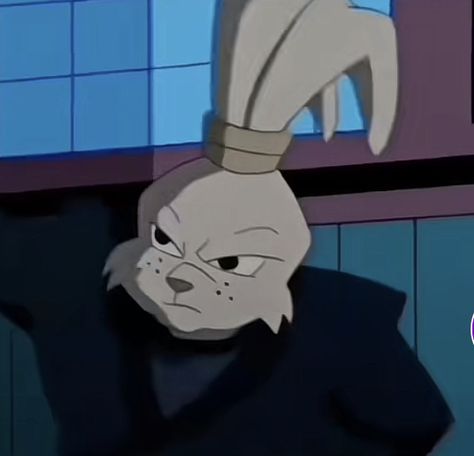 Usagi Tmnt, Usagi Miyamoto, Tmnt 03, Rabbit Samurai, Miyamoto Usagi, Usagi Chronicles, Rabbit Stuff, Tmnt 2003, Usagi Yojimbo