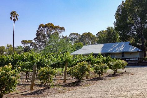 Things to do in Clare Valley, South Australia | Josie Wanders Clare Valley, Pink Lake, Craft Brewery, Wine Region, Model Railway, South Australia, Weekend Getaway, Day Tours, Weekend Getaways