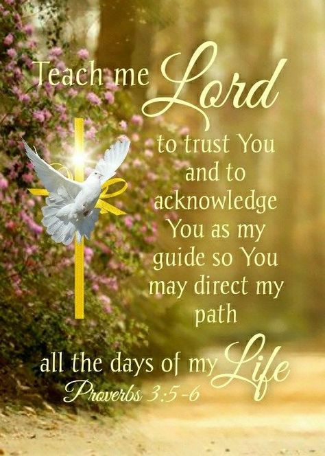 Teach Me Lord quotes life lord scriptures quotes of the day daily life quotes Happy Birthday Animated, Good Morning Bible Quotes, Scriptures Quotes, Morning Bible Quotes, Lord Quotes, Make Someone Smile Today, Lord Quote, Birthday Animated, Morning Scripture