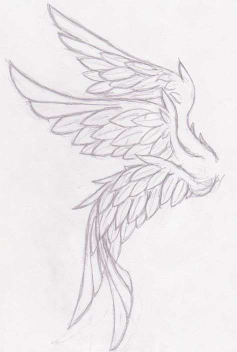 Angel Wings Drawing, Wings Drawing, Wings Art, 캐릭터 드로잉, Wings Tattoo, Concept Art Drawing, Art Tutorials Drawing, Art Drawings Sketches Simple, Cool Art Drawings