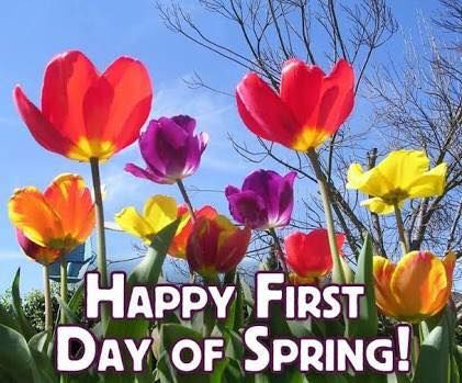 Spring Is Finally Here! spring spring quotes spring countdown happy spring happy spring quotes first day of spring 1st Day Of Spring Quotes, Happy 1st Day Of Spring, 1st Day Of Spring, Seasons Months, Spring Quotes, Spring Images, Spring Pictures, Quotes Happy, First Day Of Spring