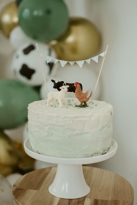 Farm Theme Bday Cake, Easy Farm Birthday Cake, Simple Farm Birthday, Farm 2nd Birthday Cake, Farm Party Birthday Cake, Simple Third Birthday Party, Farm Animal 2nd Birthday, Birthday Cake Farm, Barnyard Smash Cake