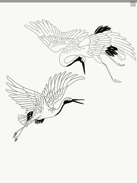 Crane Outline, Crane Line Art, Crane Outline Tattoo, Crane Tattoo Simple, Flying Crane Tattoo, Two Cranes Tattoo, Crane Bird Illustration, Traditional Crane Tattoo, Crane Illustration