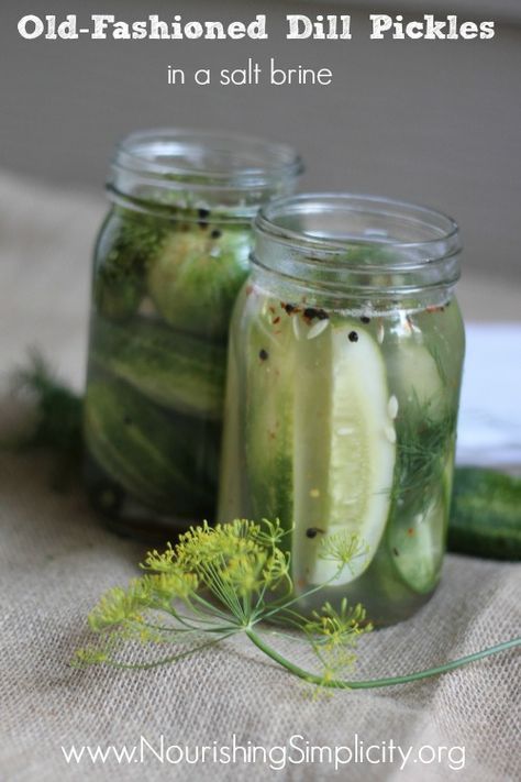 Old-Fashioned Dill Pickles in a Salt Brine- Nourishing Simplicity Salt Brine, Food Sides, Dill Pickle Recipe, Yellow Squash Recipes, How To Make Pickles, Fermented Pickles, Brine Recipe, Refrigerator Pickles, Dill Pickles