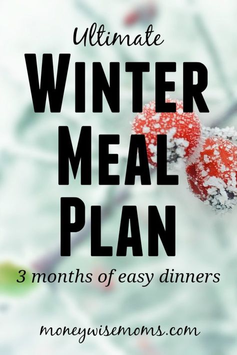 Winter Meal Plan, Winter Party Foods, Seasonal Meal Planning, Recipes For 2, Meal Planning Board, Monthly Menu, Plane Food, Meal Planning Menus, Monthly Meal Planning