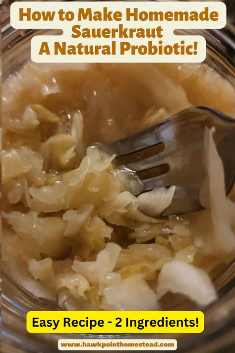 Fermenting foods is a great and healthy way to preserve food. One of the easiest is sauerkraut. It only takes 2 ingredients, salt and cabbage. And just a little bit of time and effort.  The result is a tasty, tangy and healthy sauerkraut. Sauerkraut is full of probiotic benefits, but it has to be raw. When sauerkraut is cooked, canned or posturized it kills the good bacteria and the probiotics.  This recipe is a great way to make natural sauerkraut and is so easy! How To Make Sauerkraut, Sour Crout, Diy Sauerkraut, Fermenting Foods, Pumpkin Butter Recipe, Pickled Eggs Recipe, Homemade Sauerkraut, Preserve Food, Probiotic Benefits