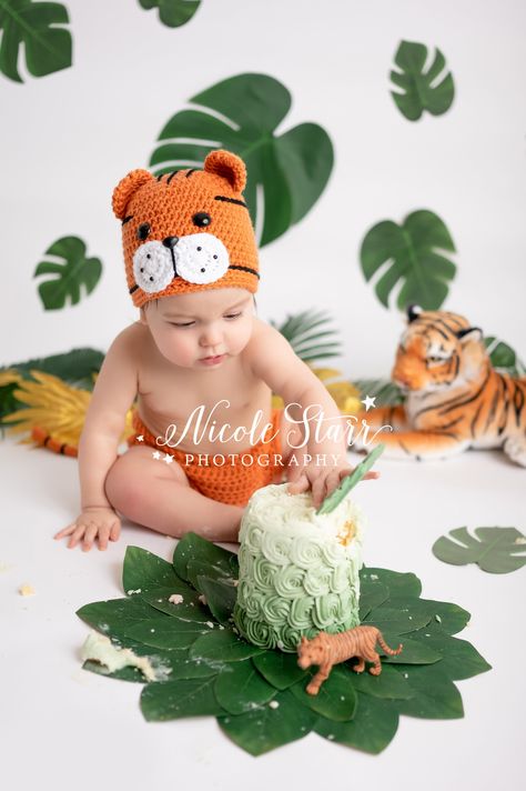 Jungle Themed Cake, Themed Cake Smash, Tiger Jungle, Cake Smash Theme, Jungle Cake, Spring Studios, Baby Pic, Animal Cake, Cute Tigers