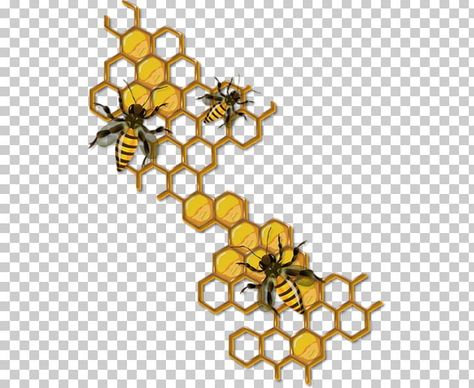 Honey Comb Bee Drawing, Honey Hive Tattoo, Bees Hive Drawing, How To Draw Honeycomb, Bee Hive Drawing Honeycombs, Bee With Honeycomb Drawing, Drawing Honeycomb, Honey Bee Drawing Honeycombs, Honeycomb Drawing