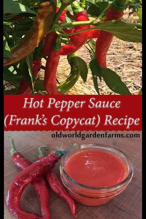 Hot Pepper Sauce Recipe, Cayenne Pepper Recipes, Hot Pepper Recipes, Cayenne Pepper Sauce, Pepper Sauce Recipe, Homemade Hot Sauce, Pepper Recipes, Canning Food Preservation, Hot Sauce Recipes