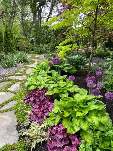 Zone 5b Landscaping Front Yards, Shade Loving Landscaping Ideas, Wide Flower Bed Ideas, Companion Plants For Ferns, Stunning Garden Design, Butterfly Bush Landscaping Front Yards, Low Light Outdoor Plants Front Yards Shade Garden, Front Yard Small Flower Bed Ideas, Garden Along Sidewalk