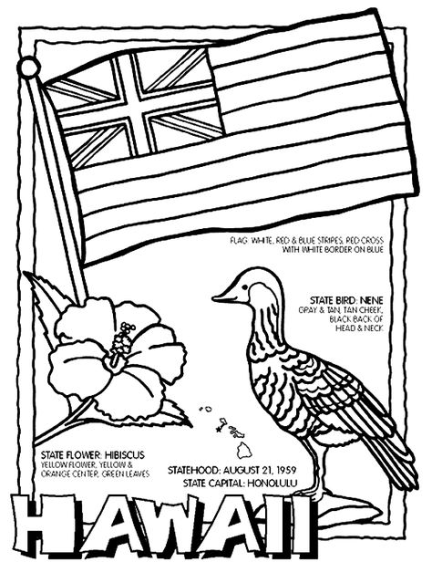 Hawaii coloring page Hawaii Printables, Hawaiian Bar, Crayola Coloring Pages, Cc Cycle 3, States And Capitals, Flag Coloring Pages, Homeschool Geography, State Symbols, State Birds