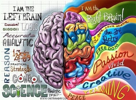 I am right brain dominant with high left leanings too---almost both~ Left Vs Right Brain, Left Brain Right Brain, Brain Illustration, The Human Brain, Cartoon Posters, Right Brain, Buzzfeed Quizzes, Human Brain, Neuroscience