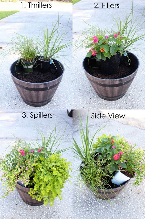 Summer Flower Pots, Porch Plants, Patio Flowers, Porch Flowers, Container Garden Design, Potted Plants Outdoor, Container Gardening Flowers, Flower Pots Outdoor, Patio Plants