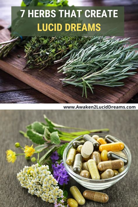 Lucid Dreaming Herbs, Herbs For Lucid Dreaming, Lucid Dream Tea Recipe, Herbs For Dreams, Lucid Dream Tea, Lucid Dream Herbs, Herb Knowledge, Lucid Dreaming Tips, Dream Journaling